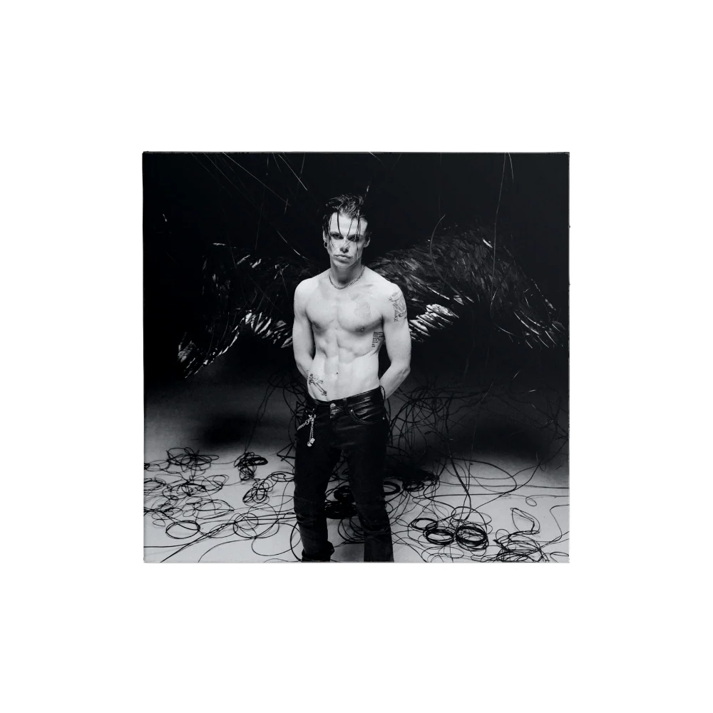 Idols Limited Edition Alt CD Bundle - Image 11