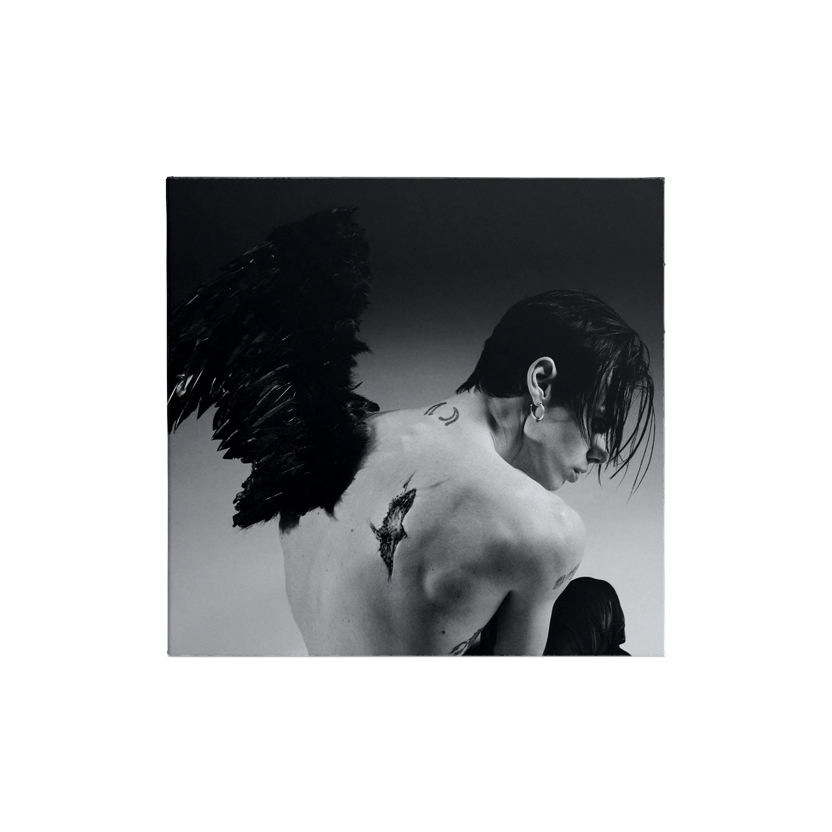 Idols Limited Edition Alt CD Bundle - Image 7