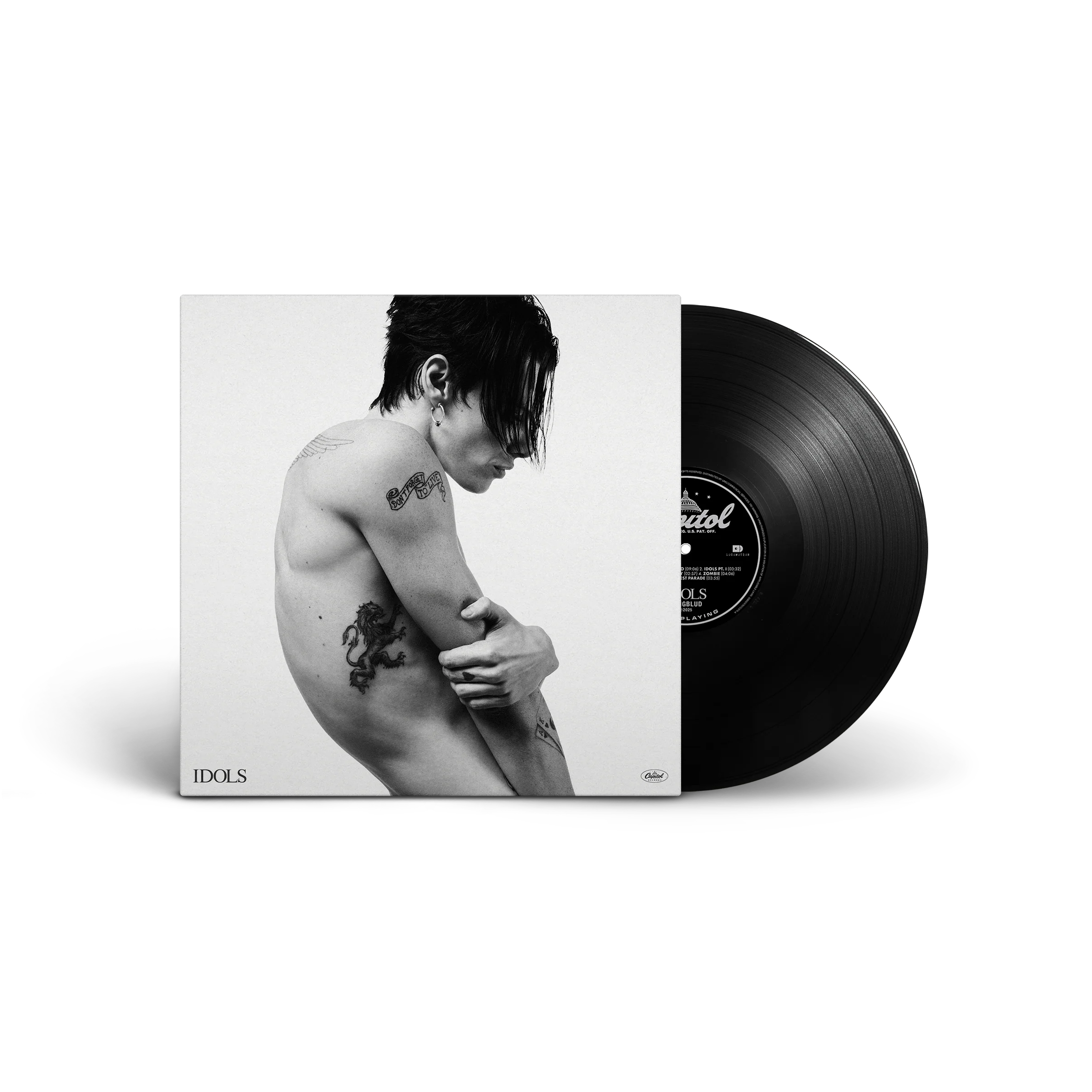 Idols Vinyl - Image 3