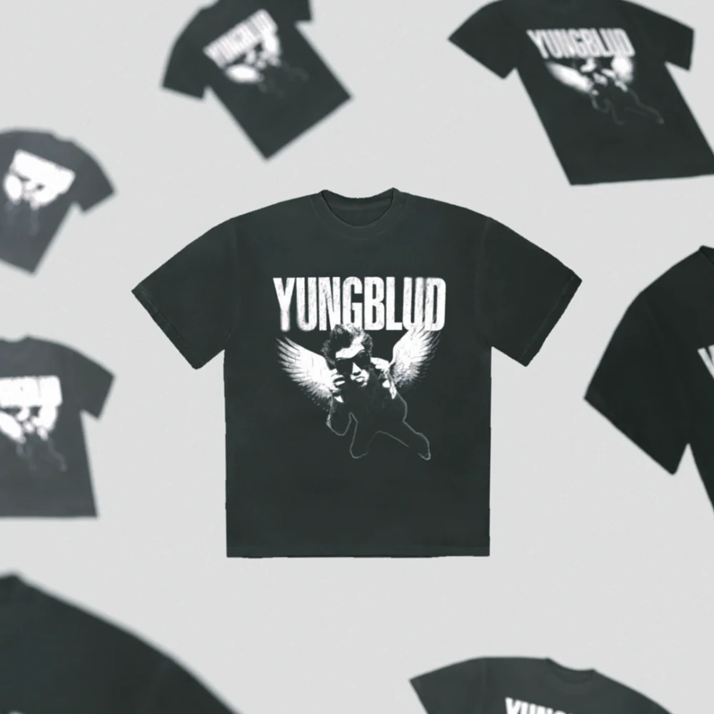VINTAGE WASH WINGS TEE - Image 2